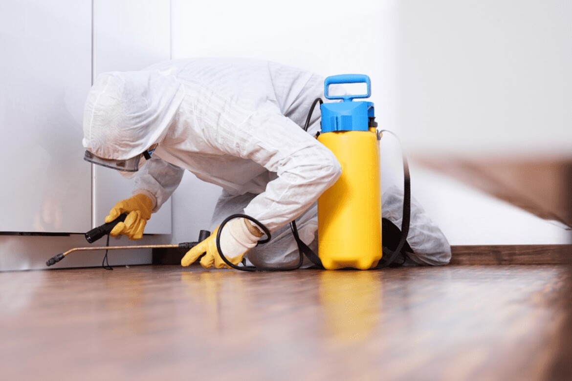 Ho消毒有限公司的實際案例 Banner圖片